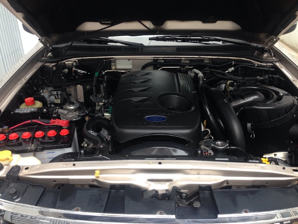 Cần bán xe Ford Everest máy dầu 2009 số tự động màu Hồng phấn