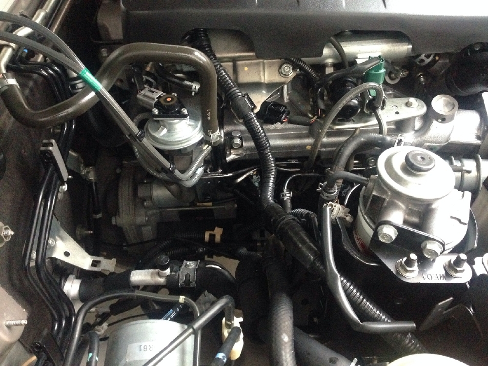 Cần bán xe Ford Everest máy dầu 2009 số tự động màu Hồng phấn