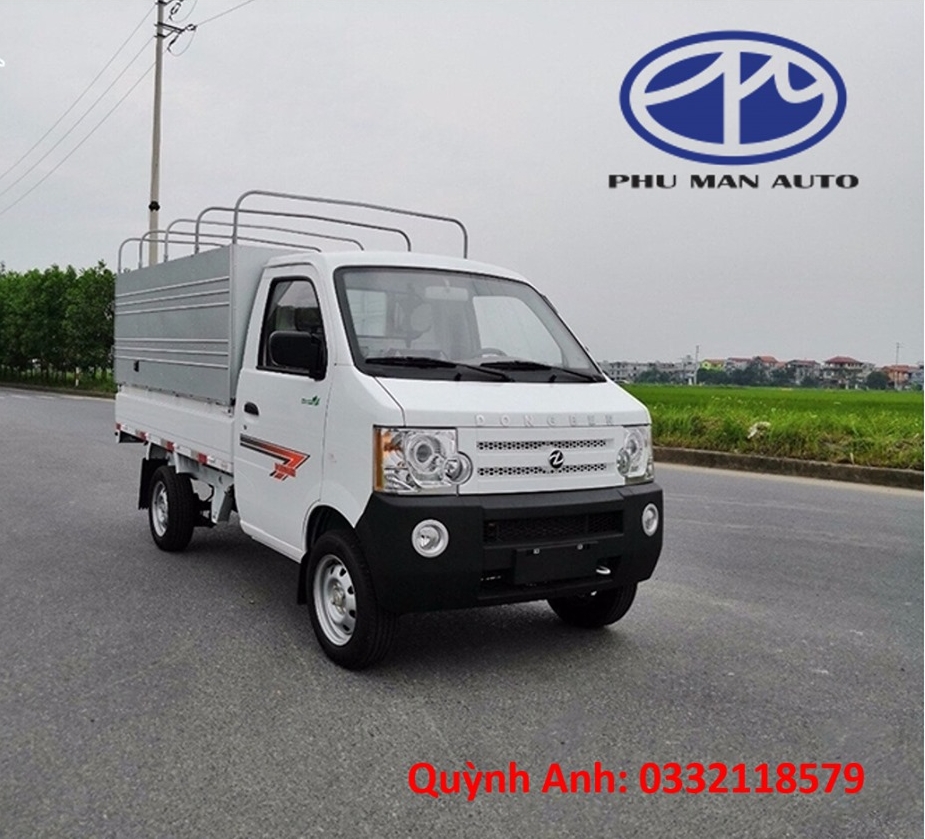 DongBen mui bạt 810kg, giá tốt