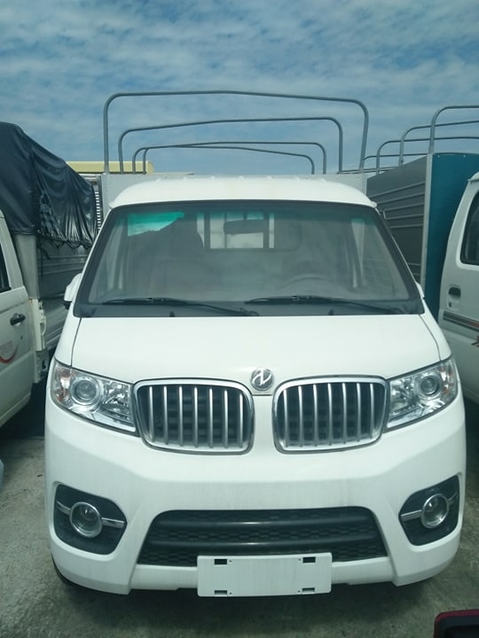 DongBen mui bạt 990kg, giá tốt