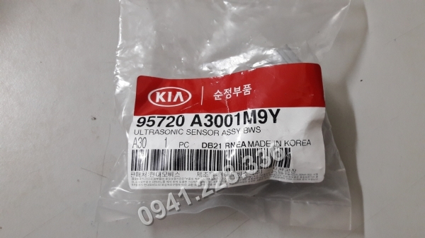 95720A3001M9Y CAM-BIEN-LUI-RAY