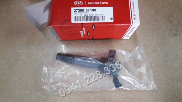 273003F100 BÔ BIN ĐÁNH LỬA  Hyundai Tucson,Santafe,
