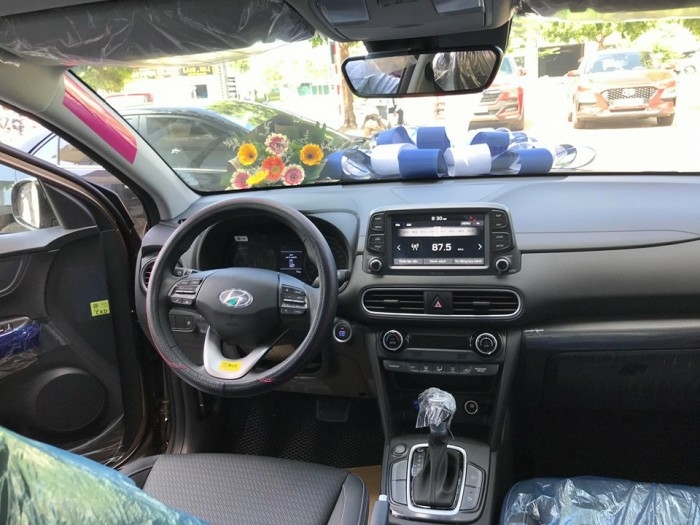 hyundai kona đặc biệt