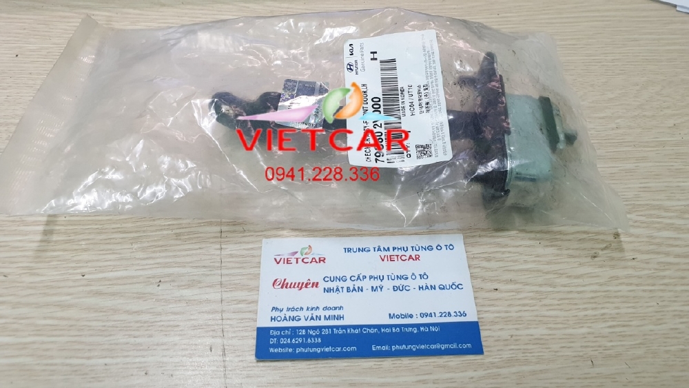 Hạn chế cánh cửa trước trái Hyundai Veloster |793802V000