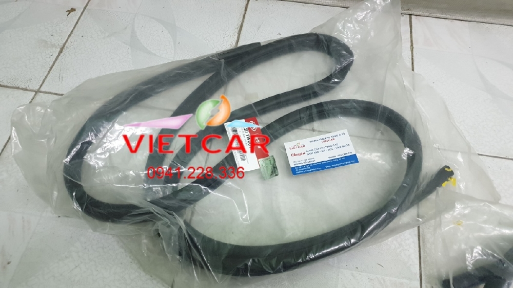 Gioăng khung cánh cửa Kia Rio |821101W000, 821201W000