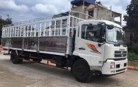 Dongfeng b180 Báo Giá xe tải Dongfeng b180 nhập khẩu nguyên chiếc