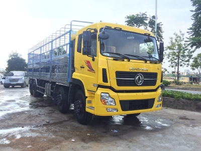 Dongfeng Hoàng Huy nhập khẩu 2019
