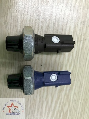 038 919 081 K - 06H 919 081 A_ - Cảm biến báo dầu Volkswagen Tiguan
