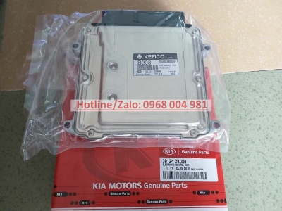 HỘP ĐIỀU KHIỂN ĐỘNG CƠ CERATO/FORTE (ECU) (1.6L, A/T, KHÔNG IMMOBILIZER) 391242B080