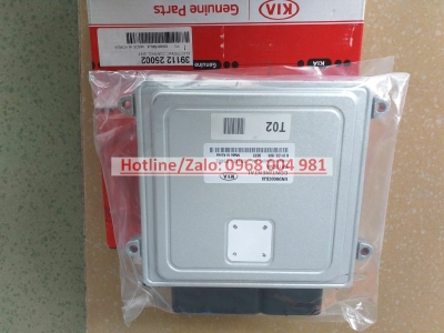 HỘP ĐIỀU KHIỂN ĐỘNG CƠ (ECU) (G) (5MT) CAREN 3911225002