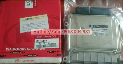 391162B010 HỘP ĐIỀU KHIỂN ĐỘNG CAREN ( HỘP ECU CAREN ). PHỤ TÙNG KIA CAREN