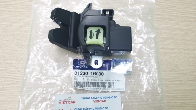 812301R030 Ổ khóa ngậm cốp hậu  Hyundai Accent