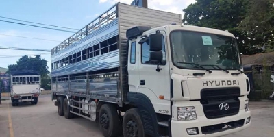 Xe tải Hyundai HD320, xe chở heo.