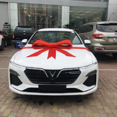 Lux A2.0 giảm 100% thuế, vay LS 0%, hoặc trừ 10% giá xe