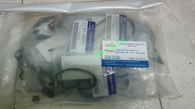 2091005M01 Gioăng đại tu Hyundai Eon