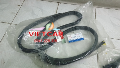 Gioăng khung cánh cửa Kia Rio |821101W000, 821201W000